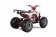 Tao Motor 125 Cheetah Platinum Mid-Size ATV - Free Assembly 