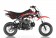 Apollo 70cc DB-21 3 Speed Semi Auto Pit Dirt Bike