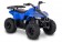 Tao Motor Mud Hawk 6 110 Kids ATV