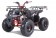  Tao Motor T125 NEW Mid-Size 125cc ATV - Free Assembly