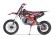 Tao Motor 140cc DBX1 Adult Dirt Bike - Free Assembly