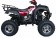 Cougar Cycle UT-200 ATV Fully Automatic with reverse Mid Size ATV
