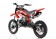 Apollo DB-32 110cc 4-Speed Semi-Automatic Transmission Pit Dirt Bike