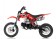 Apollo DB-32 110cc 4-Speed Semi-Automatic Transmission Pit Dirt Bike