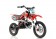Apollo DB-32 110cc 4-Speed Semi-Automatic Transmission Pit Dirt Bike