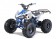 Tao Motor G125 Mid-Size ATV - Free Assembly 
