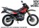 Bashan Storm 250 2019 Red
