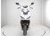 Vitacci Zoom 50 Scooter White