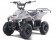 2022 NEW Tao Motor 110cc Boulder - Black