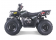 Tao Motor 125 Mud Hawk10 Kids Rival ATV - Free Assembly