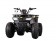 Tao Motor Mud Hawk 10 125 Kids ATV