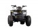 Tao Motor Mud Hawk 10 125 Kids ATV