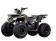 Tao Motor Mud Hawk 10 125 Kids ATV