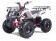 NEW Tao Motor TForce Mid-Size 125cc ATV