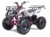  Tao Motor T125 NEW Mid-Size 125cc ATV - Free Assembly