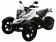 Vitacci Spider X200 Super Trike