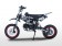 BMS PRO 125 125cc Racing Competition Pit Bike with Knobby Wheels black