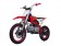 TaoTao 110cc DB-24 Kids Pit Dirt Bike
