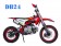 TaoTao 110cc DB-24 Kids Pit Dirt Bike