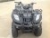 RPS Canyon 250cc Utility Type ATV 4 Speed N Reverse Front View