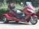 IceBear Trike 150cc Zodiac Trike 3 Wheeler