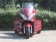 IceBear Trike 150cc Zodiac Trike 3 Wheeler