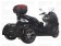 IceBear Trike 150cc Zodiac Trike 3 Wheeler