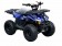Vitacci 110 RXR Kids ATV