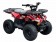 Vitacci 110 RXR Kids ATV