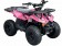Vitacci 110 RXR Kids ATV