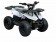 Vitacci 110 RXR Kids ATV