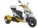 Icebear 150cc Mojo Trike