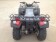 RPS Canyon 250cc Utility Type ATV 4 Speed N Reverse Rear View