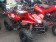 RPS 125cc Shark 8 Kids ATV