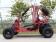 RPS 200 169cc Spider Go Kart Left side view