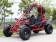 RPS 200 169cc Spider Go Kart Main image