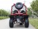 RPS 200 169cc Spider Go Kart Rear View