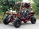 RPS 200 169cc Utility Go Kart Main image