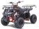 Tao Motor D125 NEW Kids 125cc ATV - Free Assembly