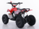 Mini Boulder 40cc Kids ATV