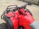 RPS Desert 150cc Utility Type ATV CVT Reverse Red Handle and Starter