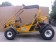  TrailMaster 150cc XRX GTS GoKart Side