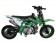 TaoTao 110 DB 20 Pit Bike
