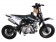TaoTao 110 DB 20 Pit Bike