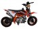 TaoTao 110 DB 20 Pit Bike
