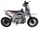 TaoTao 110 DB 20 Pit Bike