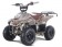 2022 NEW Tao Motor 110cc Boulder - Tree Camo