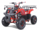 Tao Motor D125 NEW Kids 125cc ATV - Free Assembly