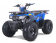 Tao Motor Mud Hawk 10 125 Kids ATV