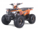 Tao Motor 125 Mud Hawk10 Kids Rival ATV - Free Assembly
